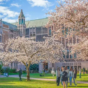 https://elegant-family-friendly-home-in-uw-4-free-parking.seattlehotelsites.com